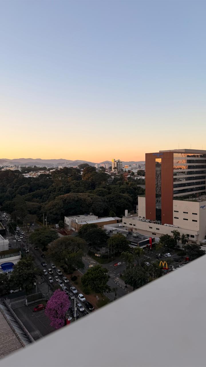 Vista de Guarulhos a partir do ateliê no fim da tarde